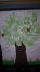 YA� KESEN BA� KESER DED� ��RETMEN�M, ORMAN SUYA SET G�NE�E �EMS�YED�R DED� ��RETMEN�M, B�ZDEN DE SANA S�Z ��RETMEN�M F�DAN TOPRA�IN �OCU�UYSA B�ZDE ONU �LERDE KEND� �OCU�UMUZ G�B� KORUYACA�IZ ��RETMEN�M.